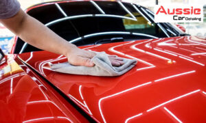 Performing Professional Cut and Polish On a Car